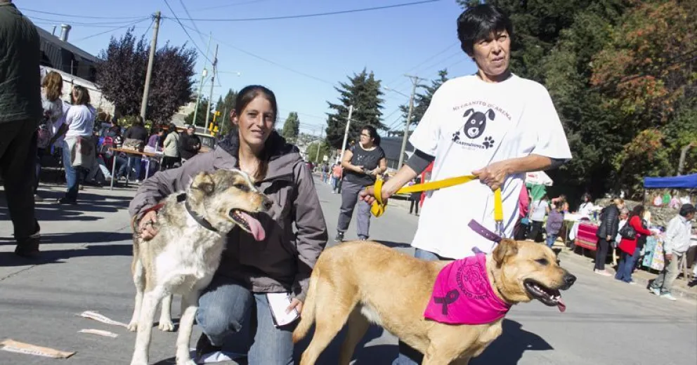 Concurrido Primer Encuentro de Cuidado Responsable de los Perros