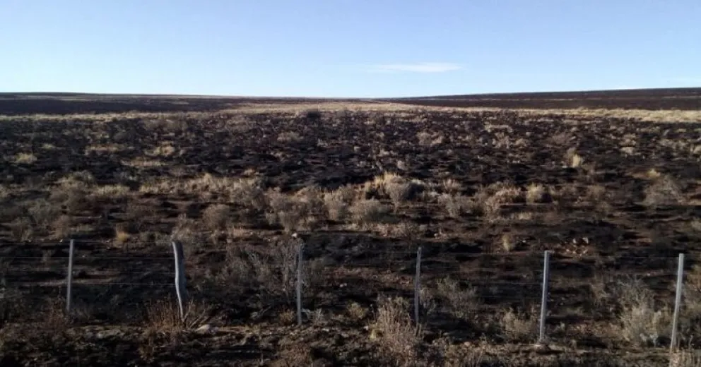 El incendio en la zona del Collón Cura finalmente fue controlado