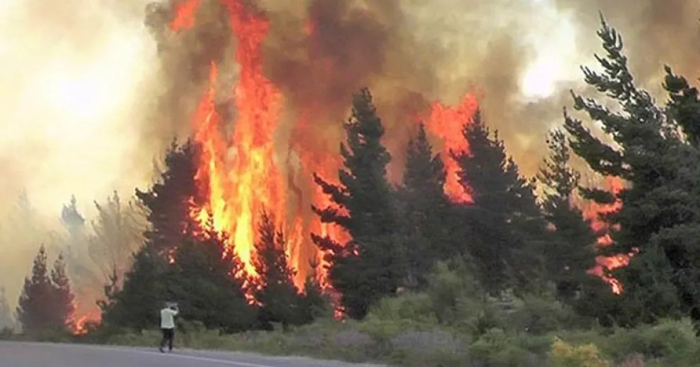 Ya en 1914 Bailey Willis recomendaba que el Estado tomara en serio la lucha contra los incendios forestales