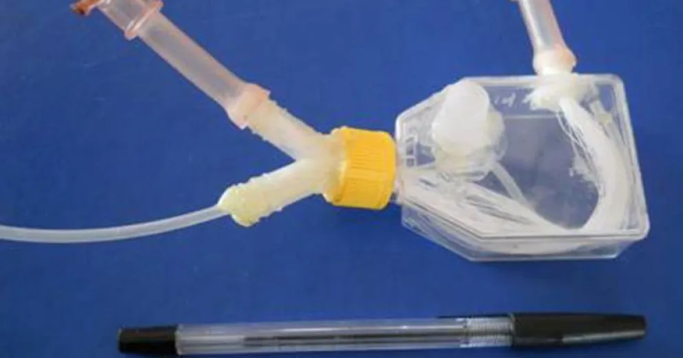 Científicos de Rosario crean prototipo de hígado bioartificial