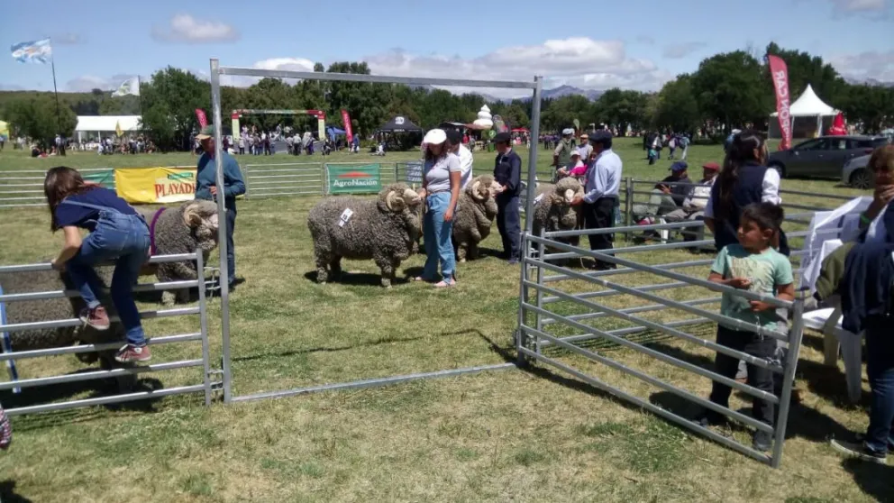 La expo rural edición 2022 ya tiene fecha de realización 