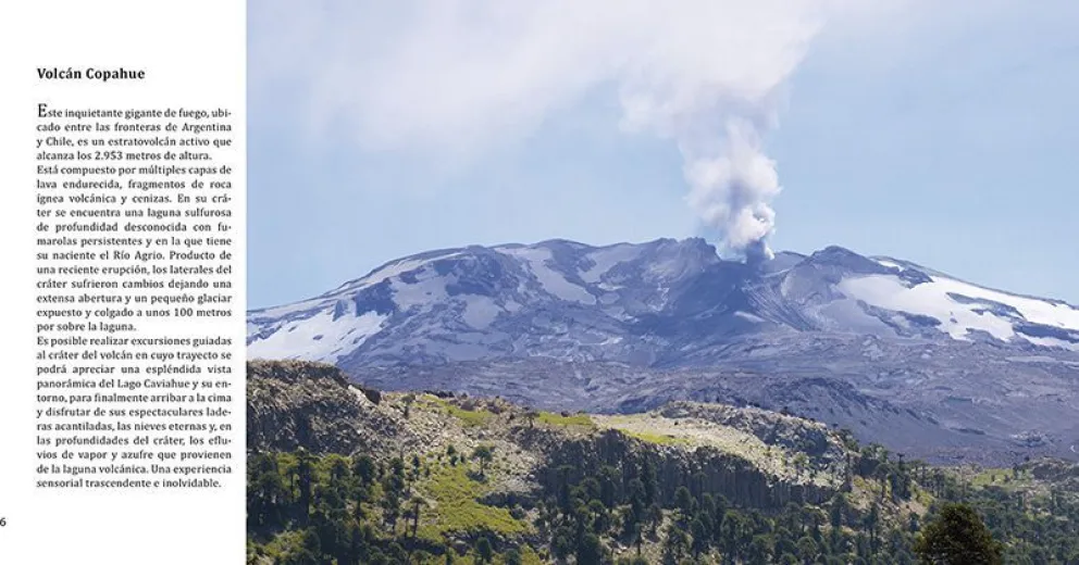Para aventurarse por “La Ruta del Pehuén”