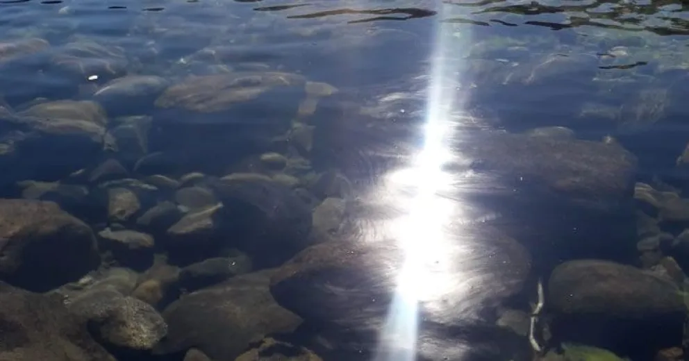 Un derrame de hidrocarburos terminó en el río Limay