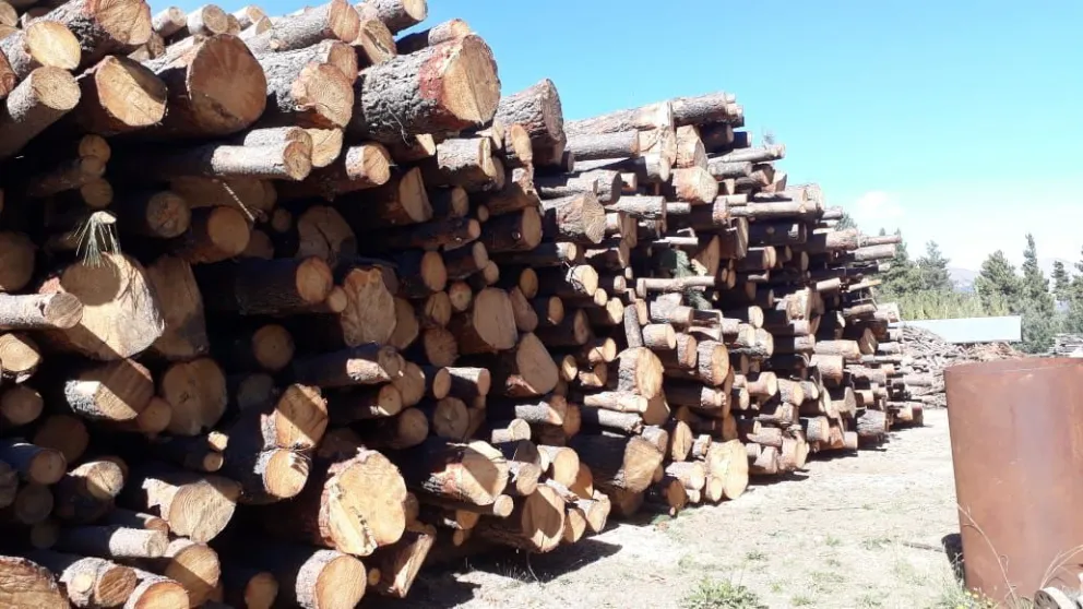 Este invierno el municipio asistirá a 4.500 familias con el Plan Calor