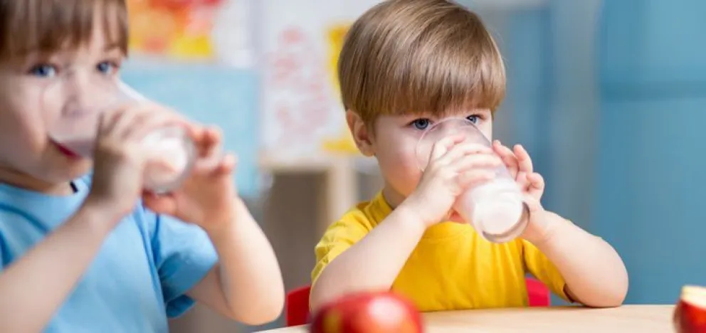 Una buena nutrición repercute en un buen aprendizaje en los chicos