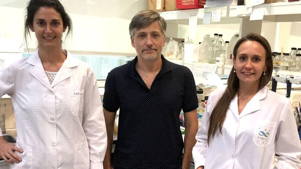 Científicos descubrieron que el aumento en los niveles de una proteína favorece el desarrollo del cáncer