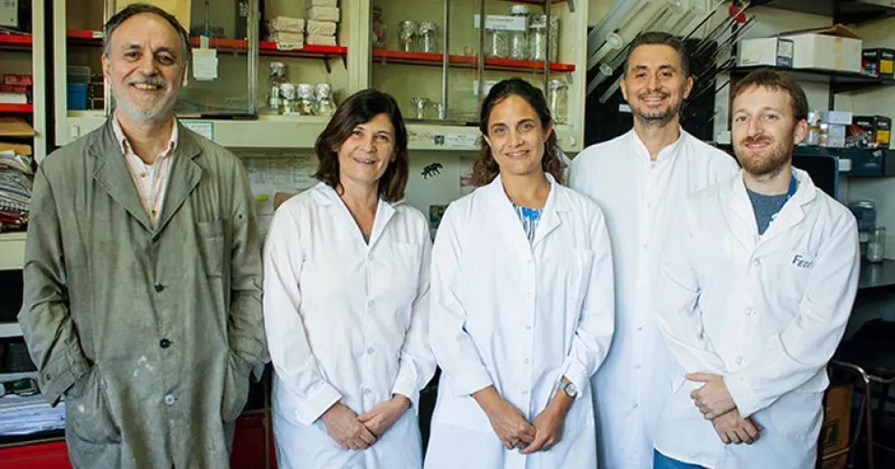 Secuencian el genoma de mil argentinos para estudiar el Alzheimer