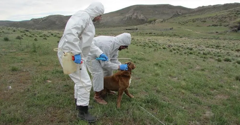 Se realizan en Bariloche las Jornadas Patagónicas de Zoonosis