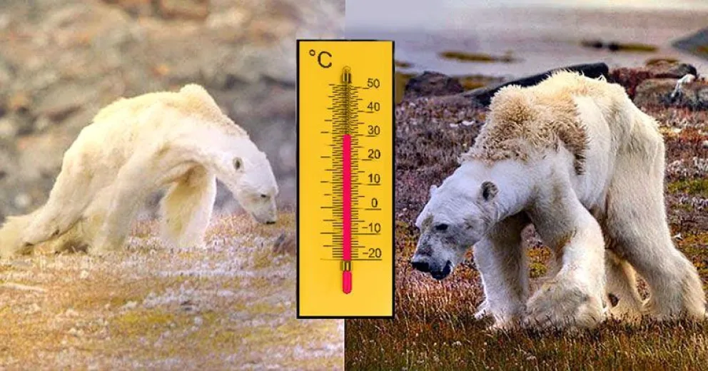 Es hora de abordar seriamente el cambio climático