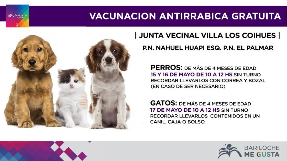 Recuerdan campaña de esterilización y vacunación gratuita en Villa Los Coihues