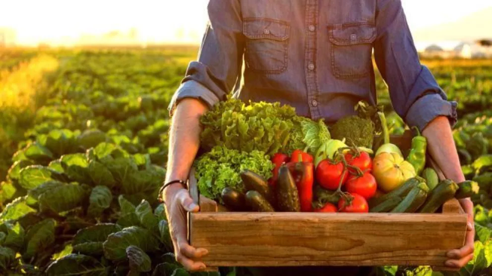 De cara al futuro: la necesidad de comer de manera inteligente
