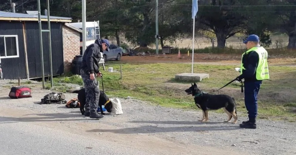Intensifican controles sobre la Ruta 40