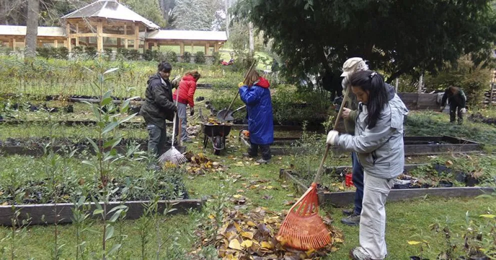 Histórica jornada de trabajo en la isla Victoria en pos de la preservación y avance del vivero “Alberto Suero”