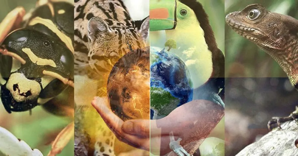 Efectos del cambio climático sobre la biodiversidad