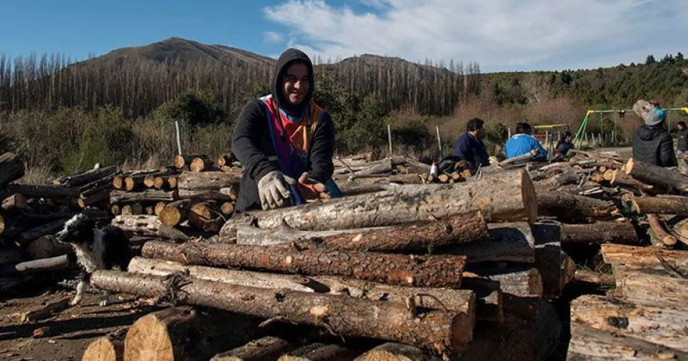 Cronograma de entrega de leña del Plan Calor