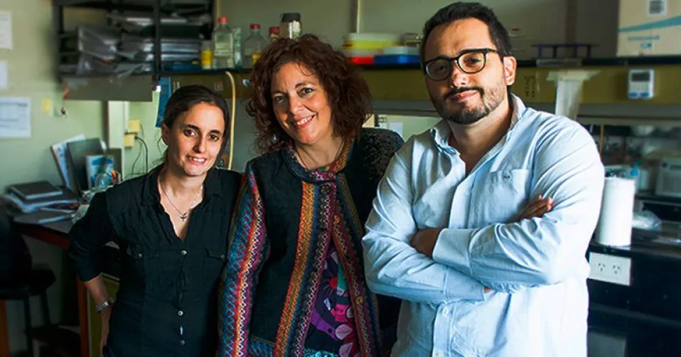 Un posible blanco de ataque en cáncer de mama y ovario