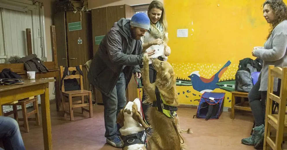 Perros adiestrados para tratar a pacientes en Camino Abierto