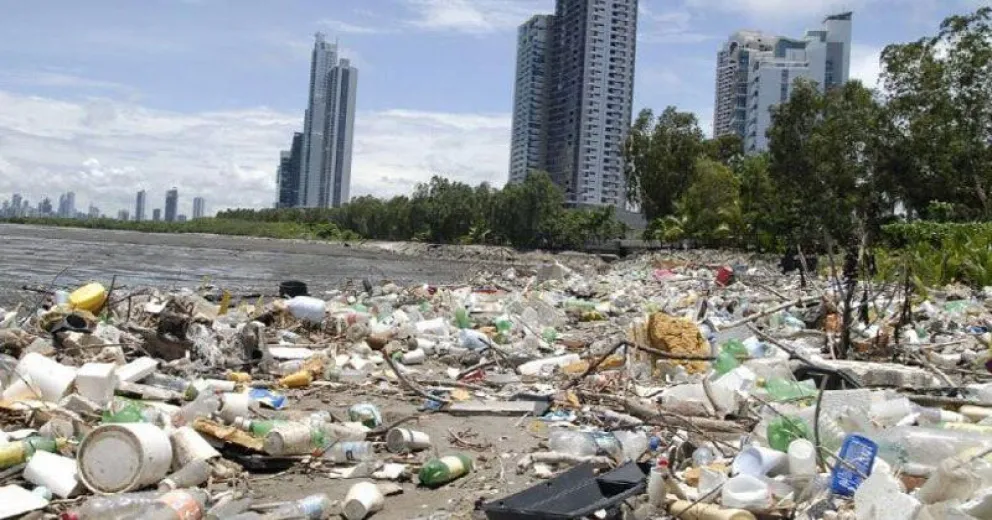 Plásticos: La basura afecta a todo el mundo y puede ingresar a la cadena alimentaria