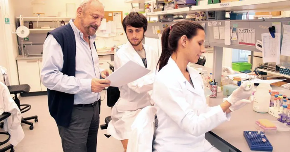 Descubren un mecanismo que interviene en los procesos de expansión del carcinoma renal