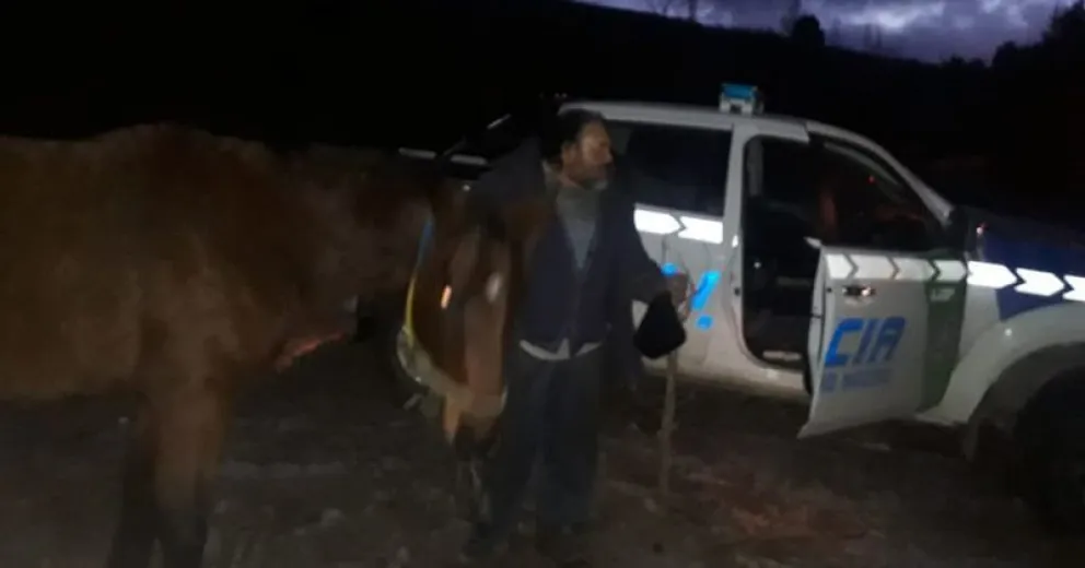 Robaron dos caballos de carrera y a uno lo faenaron