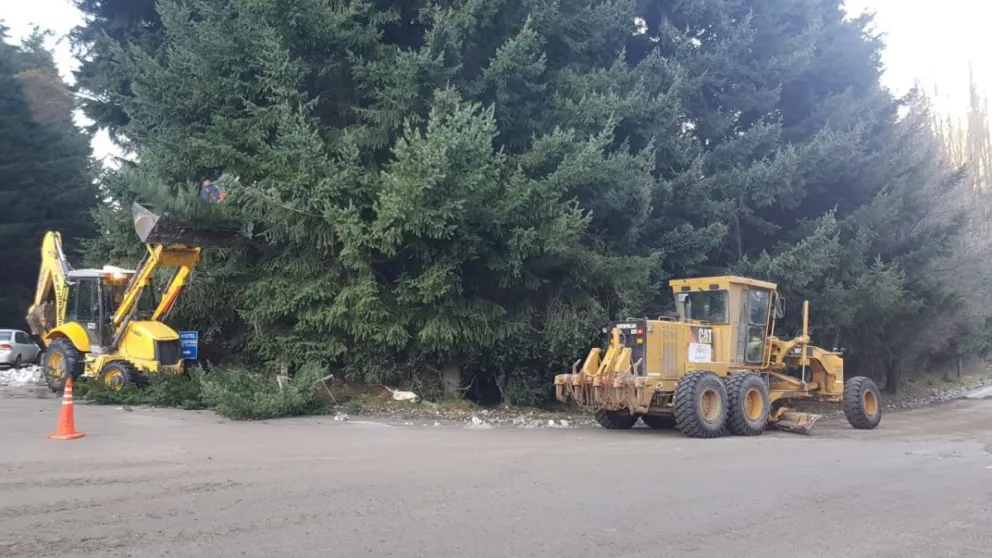 La Delegación Catedral aprovechó el buen tiempo para avanzar en los trabajos de calle