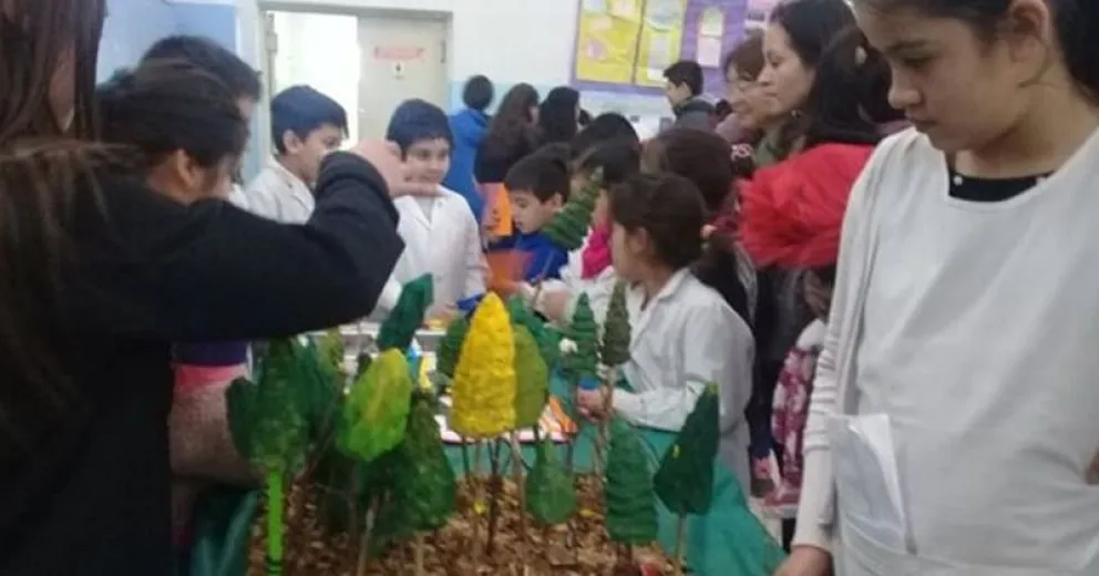 Colorida feria de ciencias en la Escuela 255