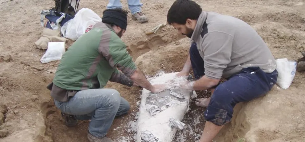 Reconstruyen un mar prehistórico que cubrió parte de Buenos Aires hace más de 70 mil años