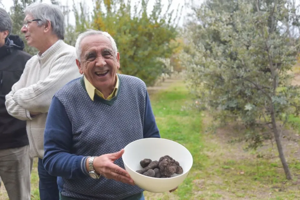 Río Negro busca desarrollar la producción de Trufas   