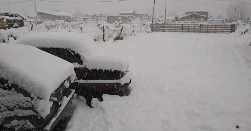 ¿Cómo está tu barrio con la nevada?
