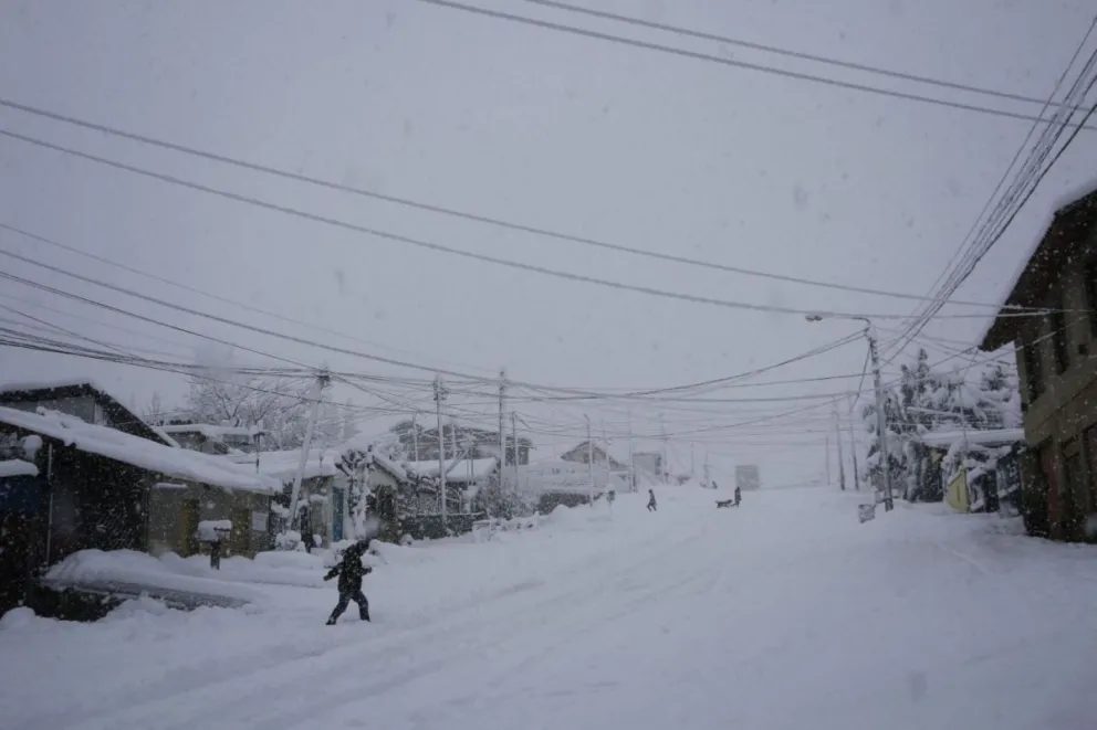 A las 9 de la mañana de este domingo volverán a circular los colectivos