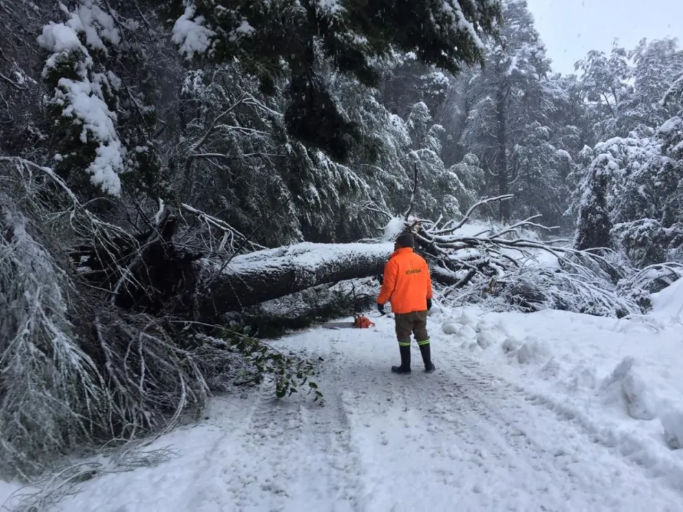 Actualización del estado de caminos y excursiones lacustres en el Parque Nacional Nahuel Huapi   