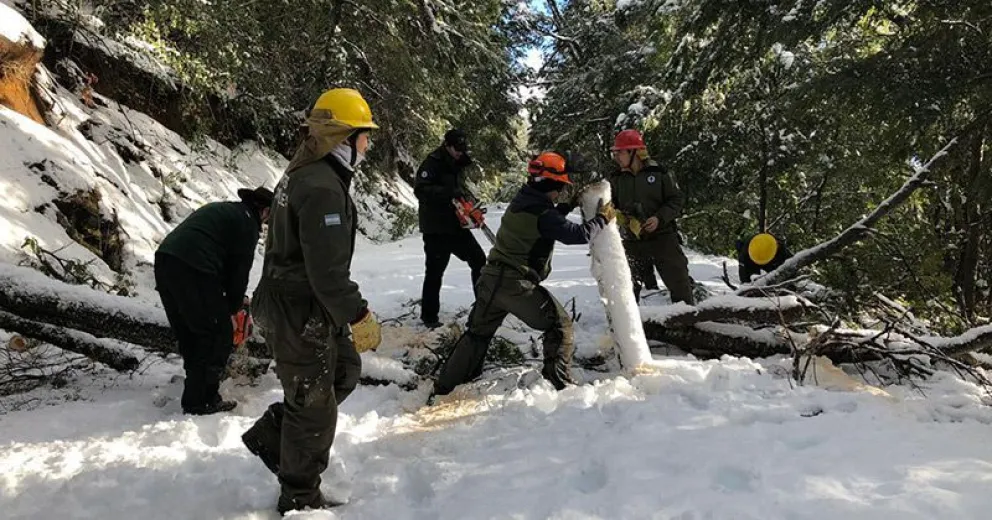Actualización del estado de caminos y excursiones lacustres
