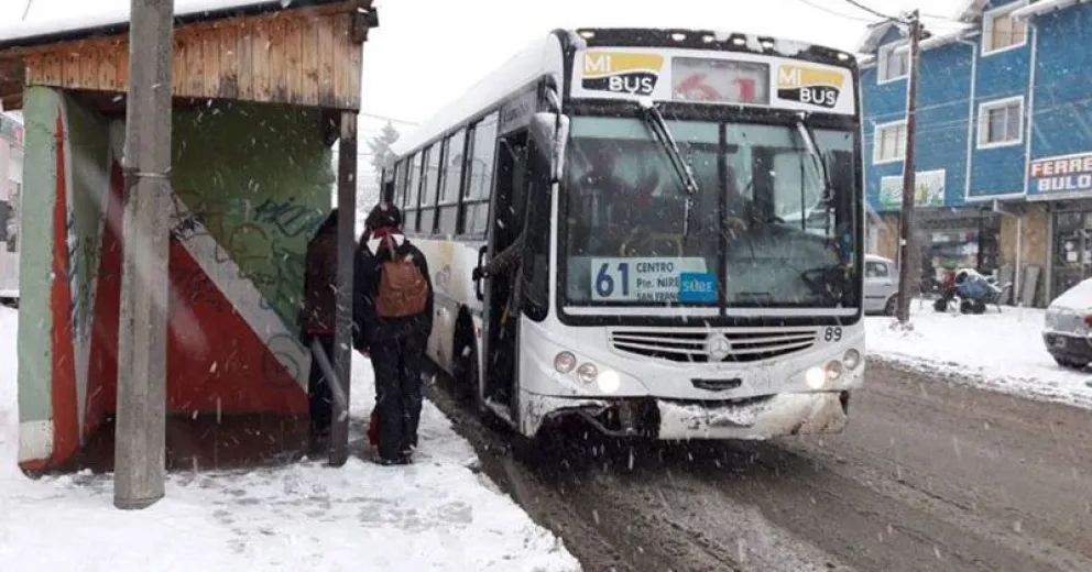 Con recorridos modificados, normalizan horarios del transporte urbano