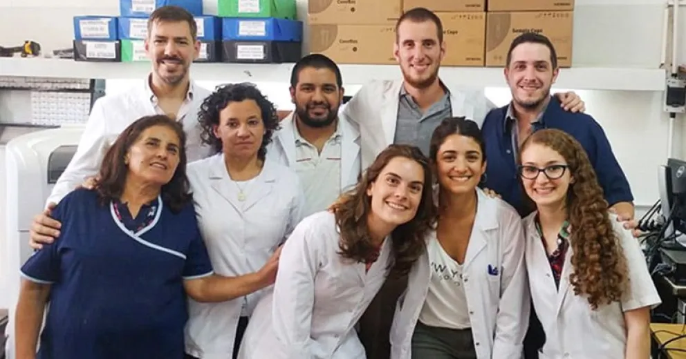 Con los pelos de punta: desarrollan sistema para medir el estrés en muestras de cabello