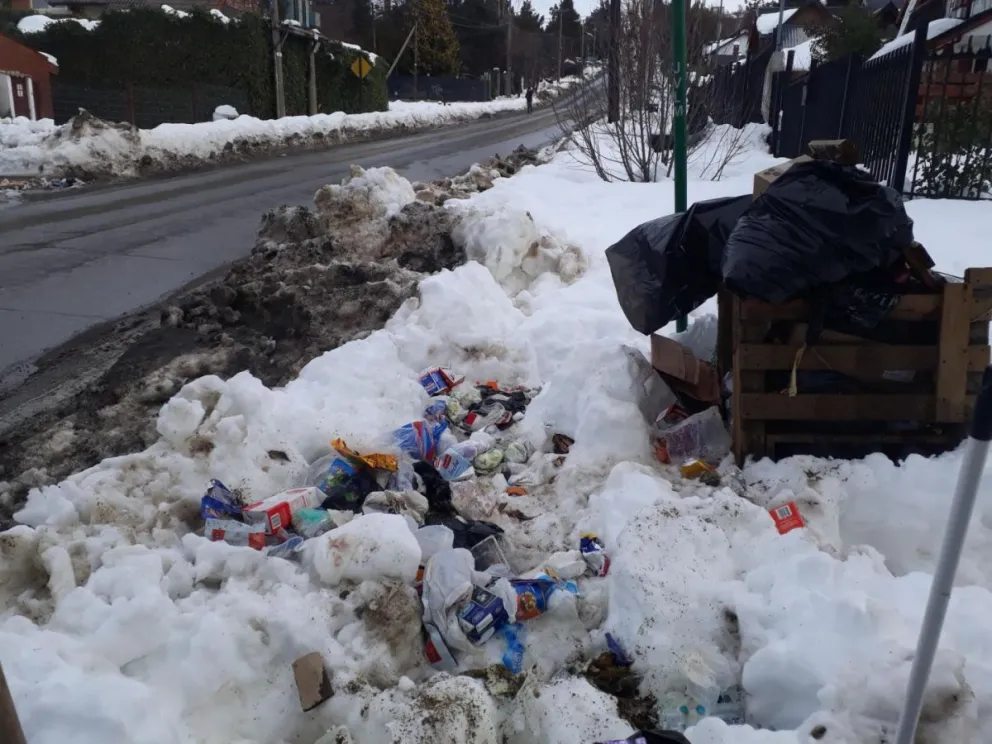 Una semana sin recoger la basura en Campichuelo