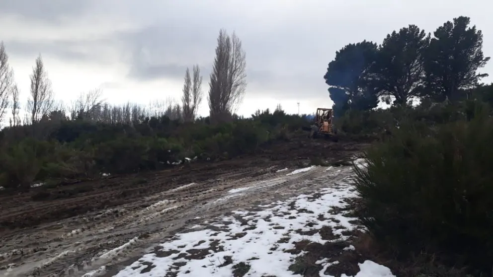 Cruz del Sur comenzó a trabajar para construir su cancha