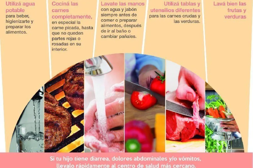 19 de agosto, Día Nacional de la Prevención del Síndrome Urémico Hemolítico