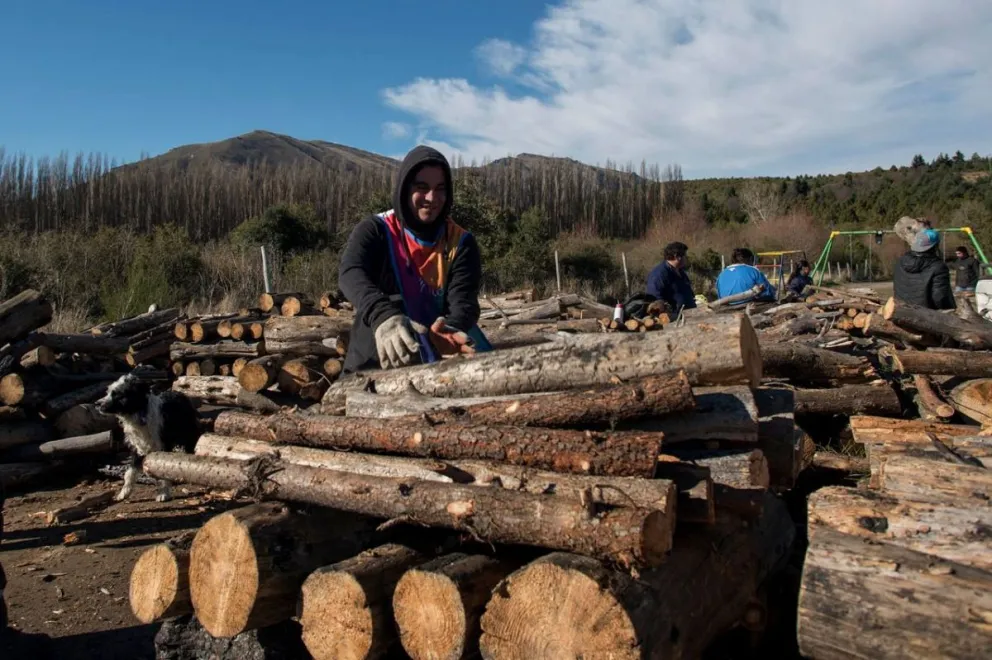 Hoy comienza la entrega de leña del Plan Calor 2022