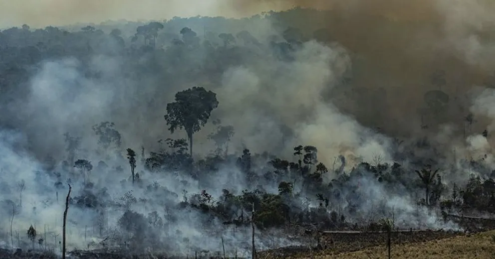 Greenpeace sobrevuela el Amazonas y documenta extensión y alcance del fuego