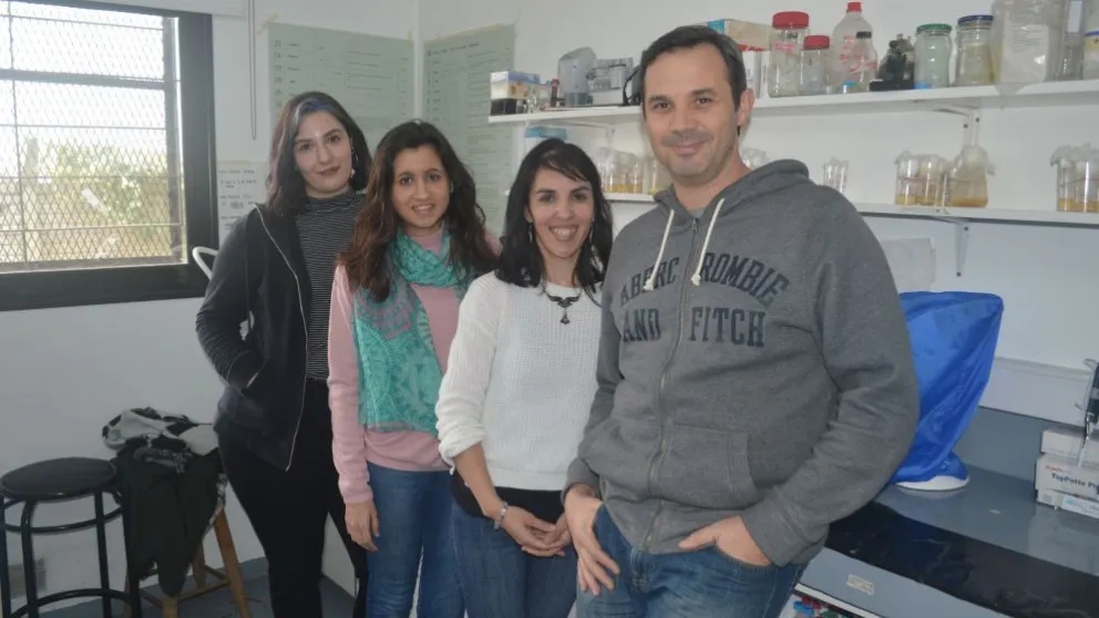 Investigadores argentinos comprueban los efectos del cannabis sobre el corazón