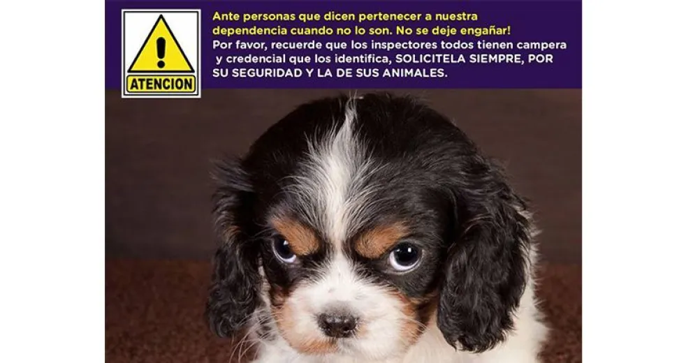 Alertan sobre visitas falsas de personal de Veterinaria y Zoonosis