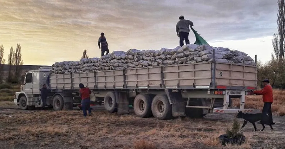 Finalizó la entrega de leña del Plan Calor 2019