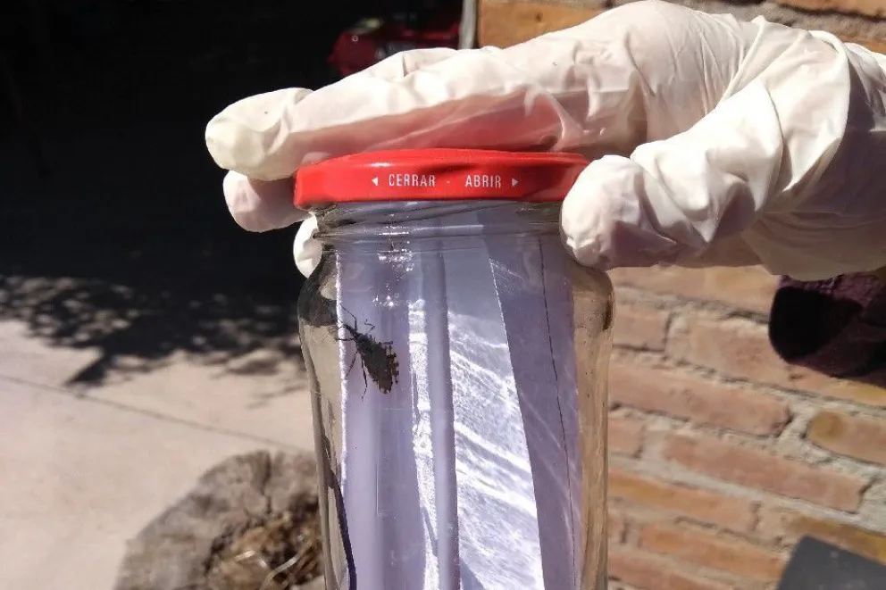 Río Negro se suma al Día Nacional por una Argentina sin Chagas   