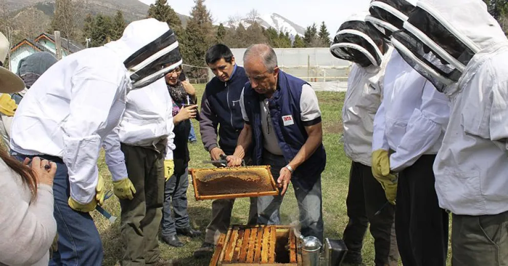 Llegan los nuevos talleres Agricultura Urbana y Periurbana