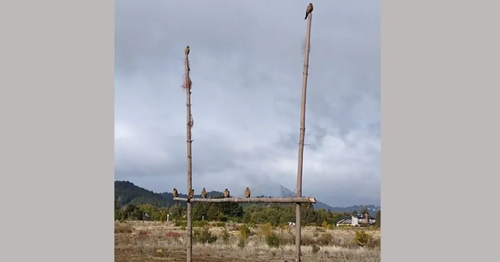 Tenían las “H” de palos de pino y el sábado inaugurarán las de hierro