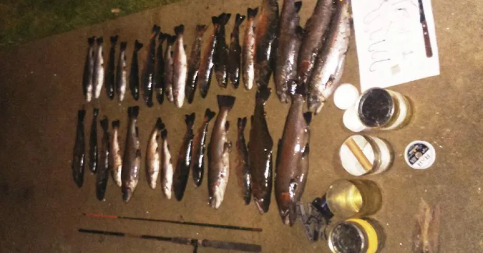 Descubrieron a furtivos con 25 salmónidos en el Ñirihuau