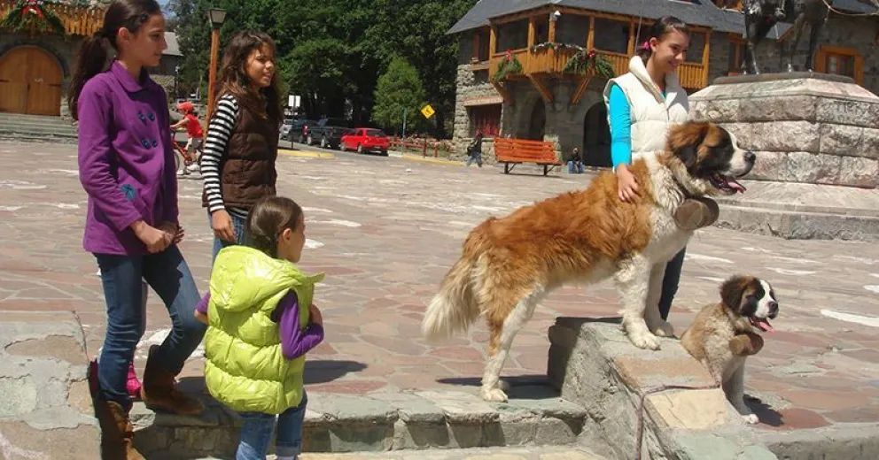 Reflotan la ordenanza para eliminar el trabajo con perros en Bariloche