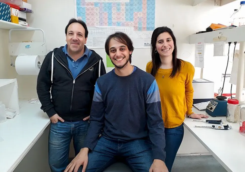 Identifican una proteína que regula mecanismos que determinan la sensibilidad al dolor