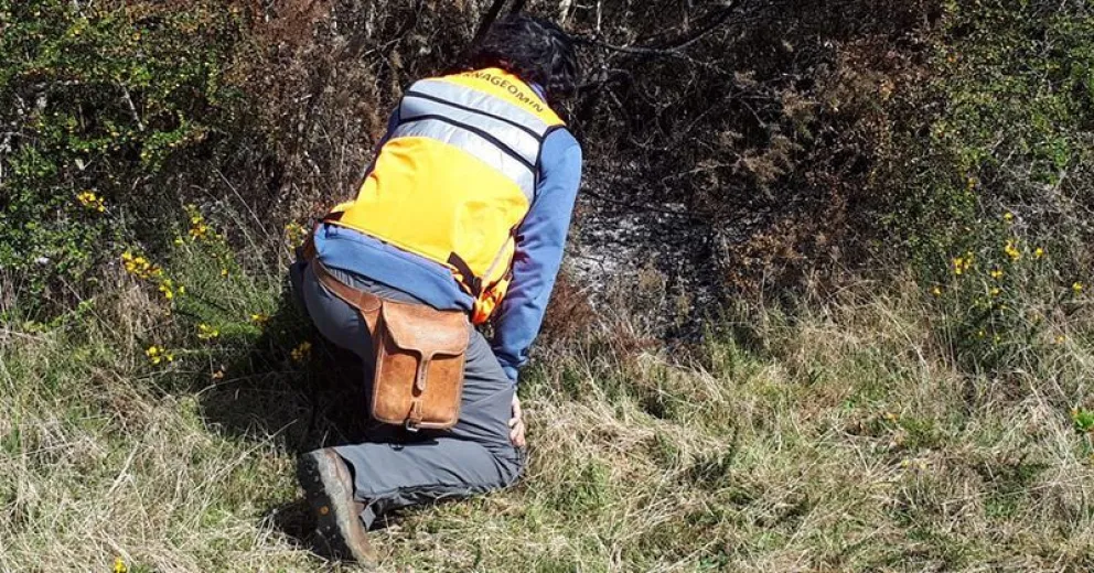 Geólogos descartaron la caída de un meteorito en Dalcahue, Chile