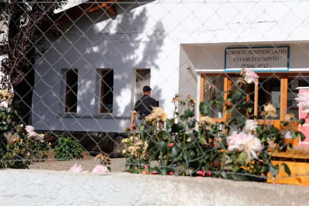 Un preso se escapó del Penal y se ocultó en un árbol hasta que fue recapturado